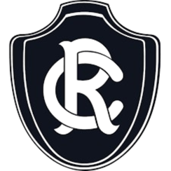 瑞模贝雷 图标