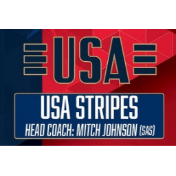 美国星条队 图标